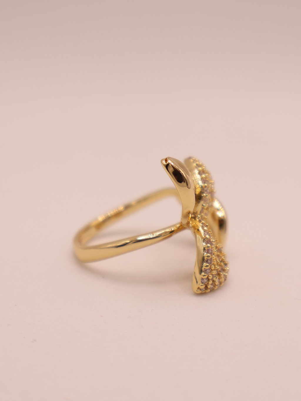 Anillo Liana