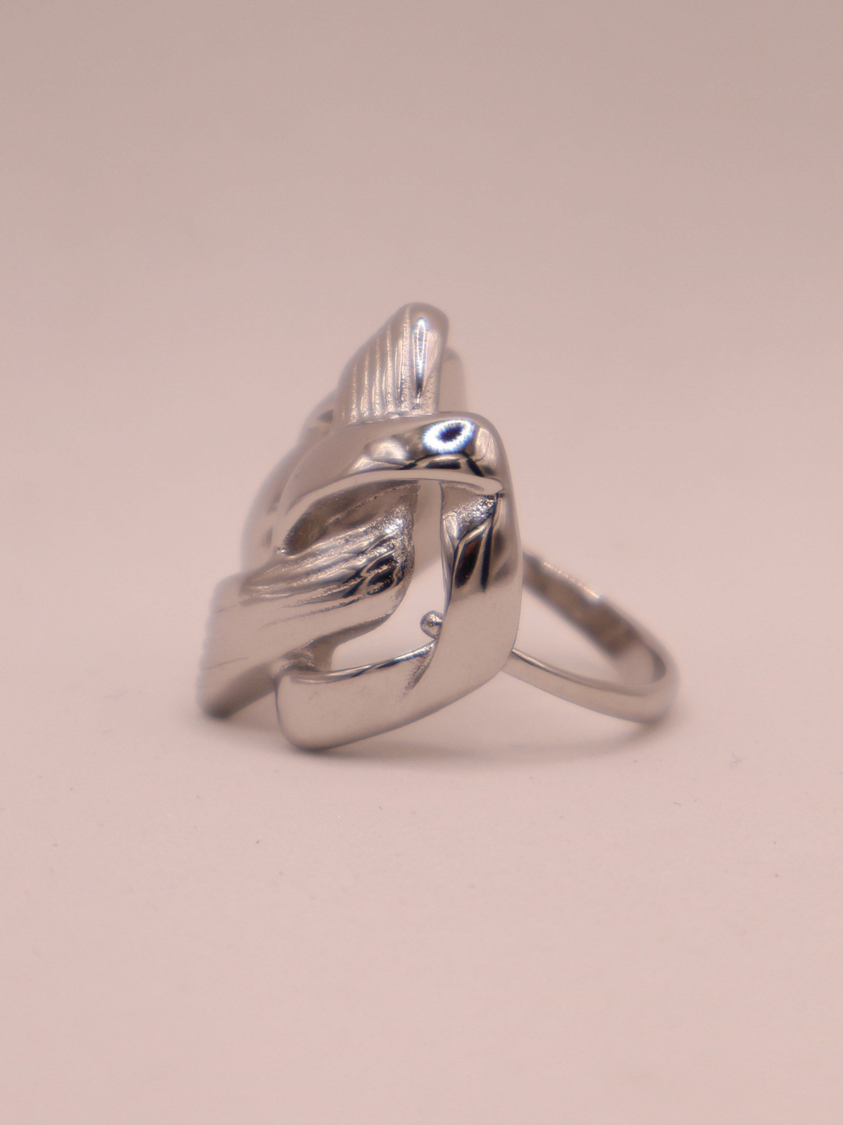 Anillo TÁNGER
