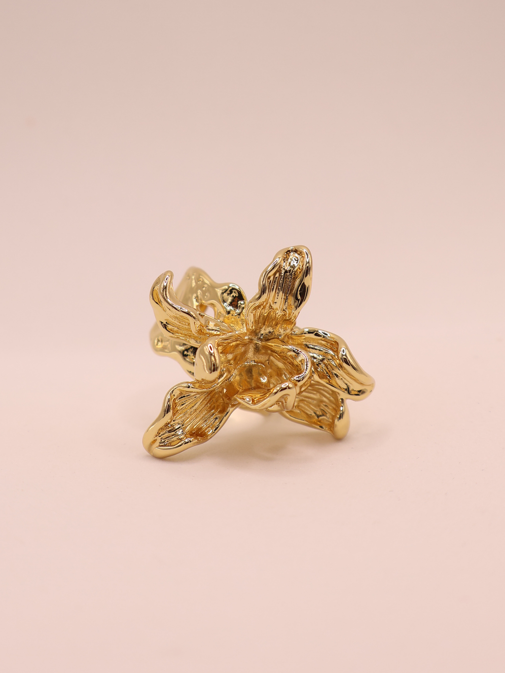 Anillo VARENNA