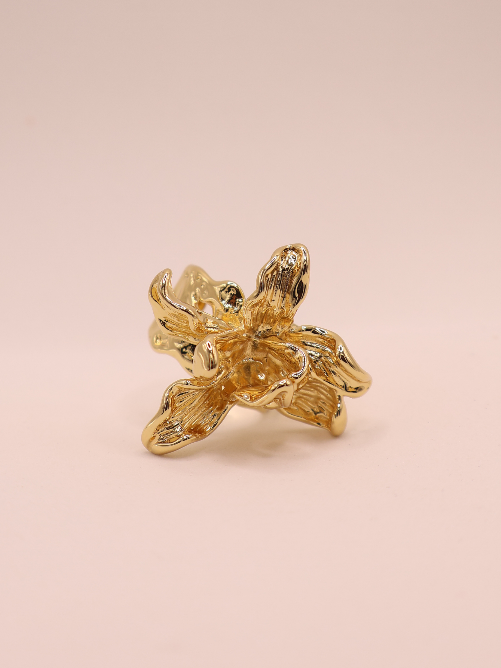 Anillo VARENNA