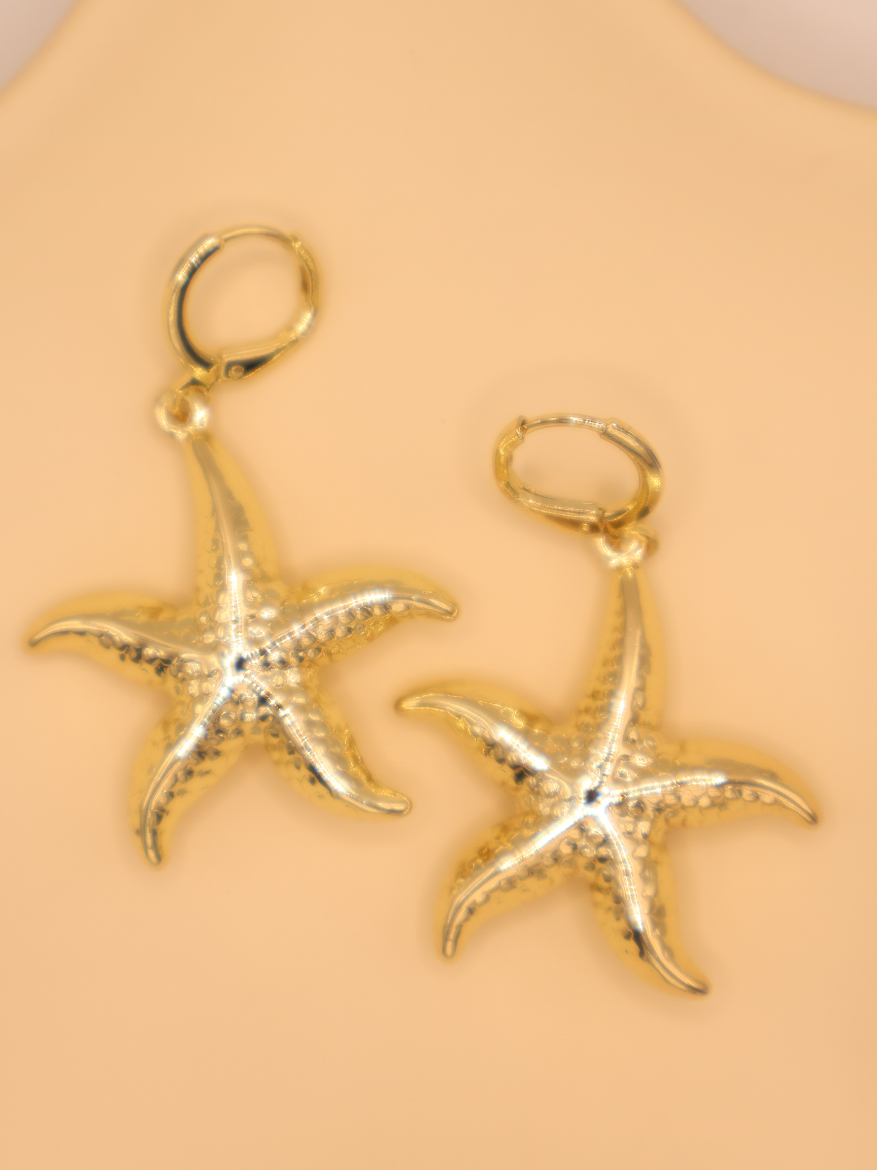 Aretes COURMAYEUR