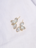 Arete Niva