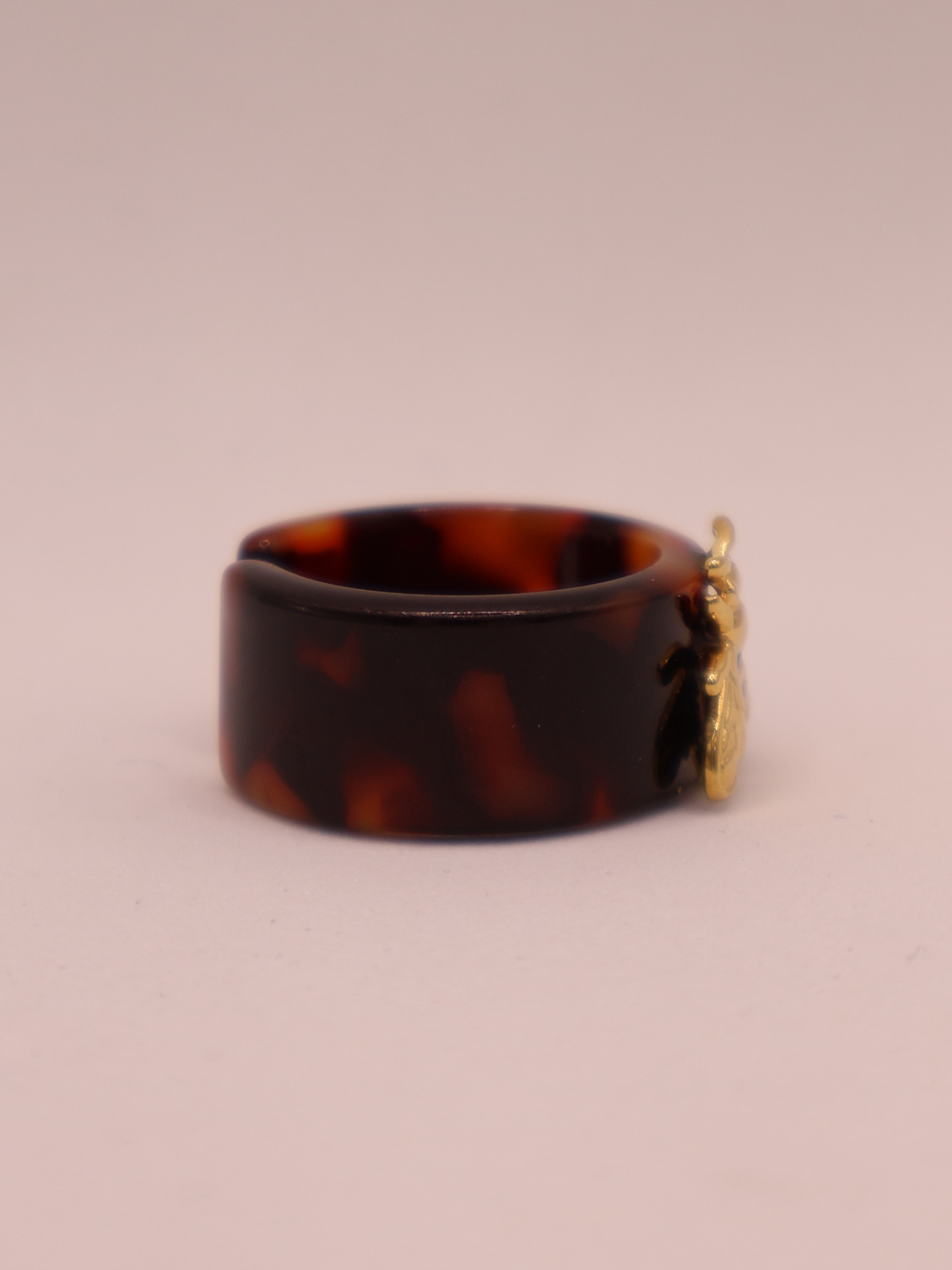Anillo FEZ