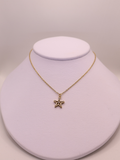 Collar CASSIS
