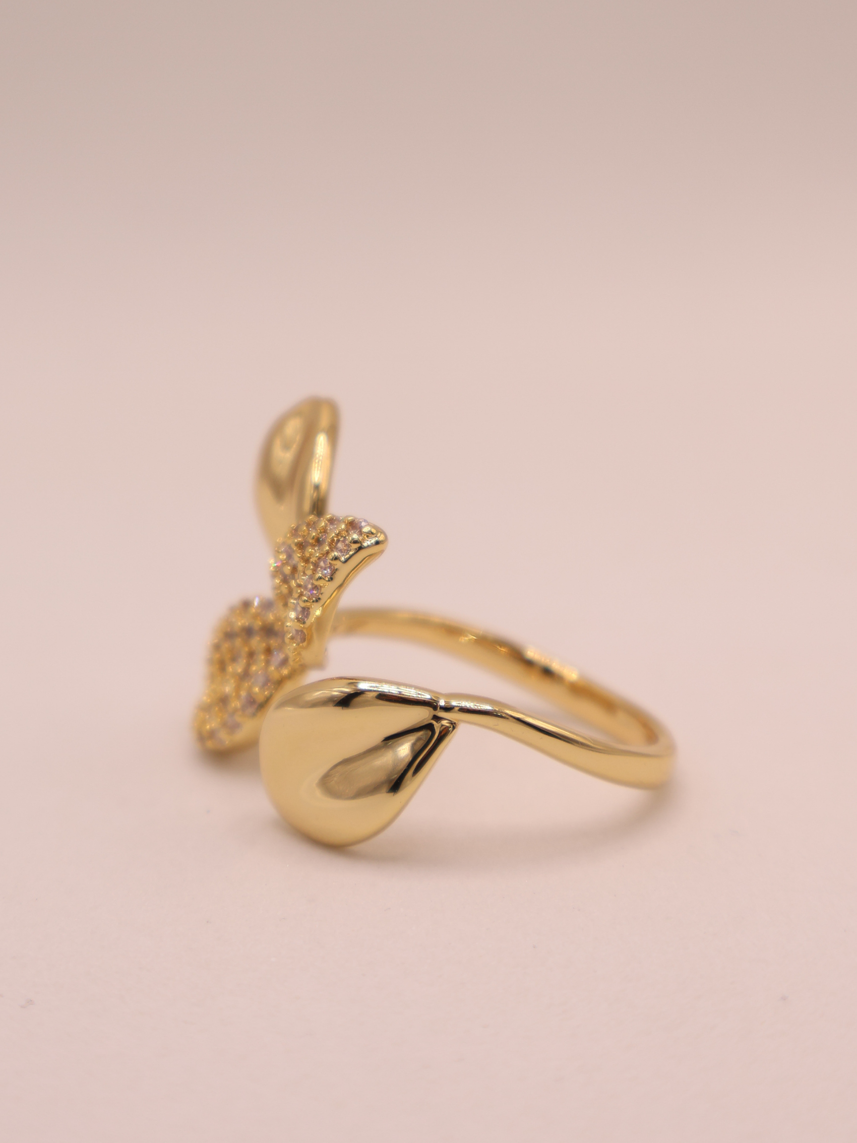 Anillo Liana