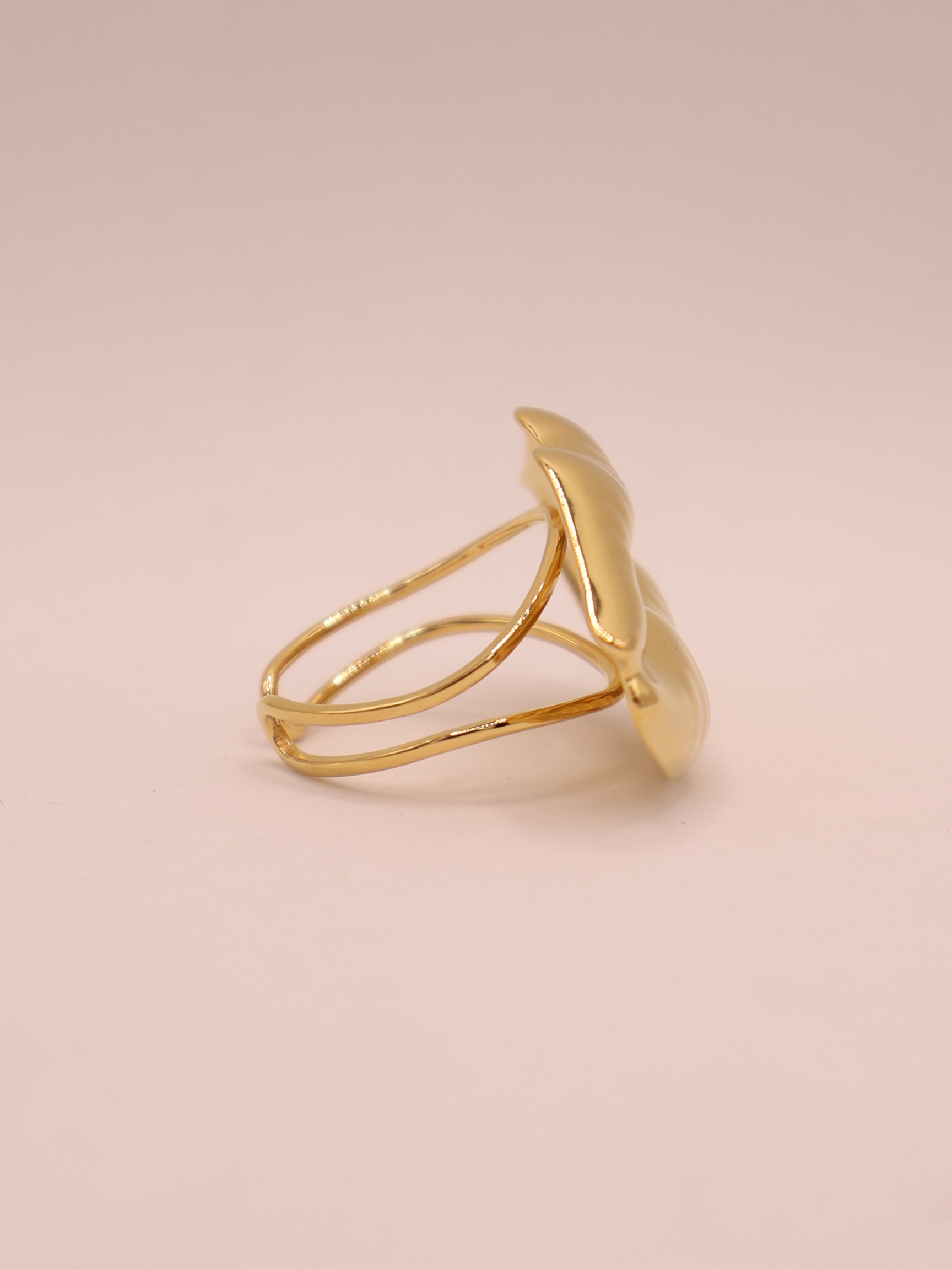 Anillo CARMEL