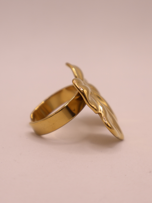 Anillo DJERBA
