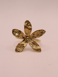Anillo MERANO