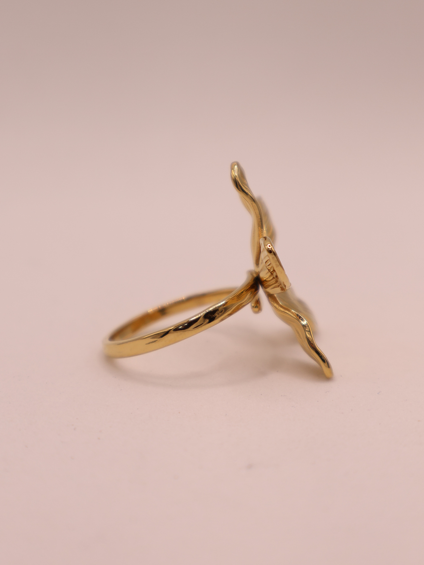 Anillo MERANO