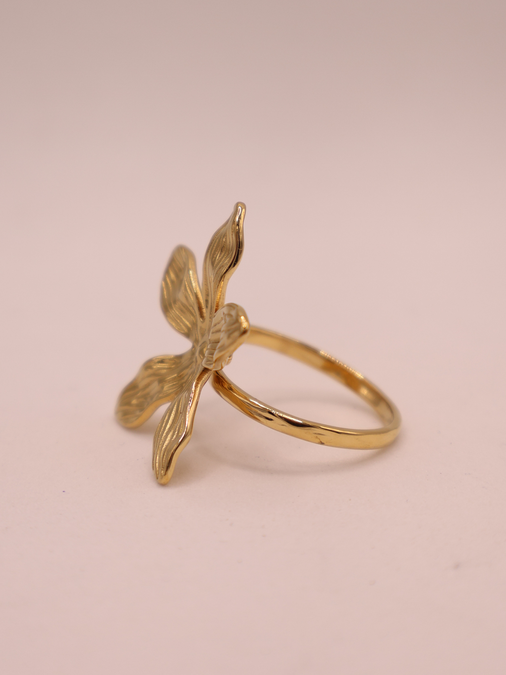Anillo MERANO