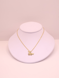 COLLAR 19