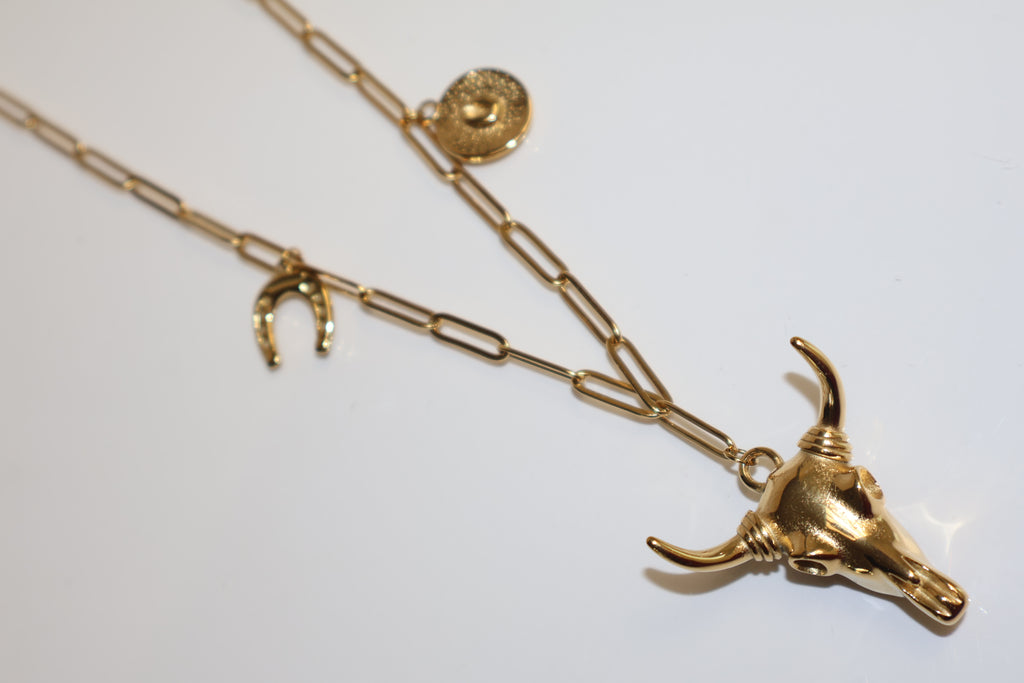 Collar Toro DRD